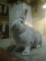 /album/kepgaleria/fenykep1108-jpg/