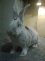 /album/kepgaleria/fenykep1117-jpg/