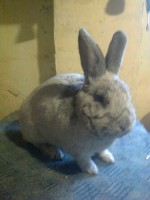 /album/kepgaleria/fenykep1066-jpg/