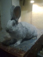 /album/kepgaleria/fenykep1167-jpg/