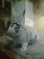 /album/kepgaleria/fenykep1175-jpg/