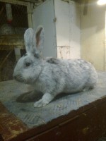 /album/kepgaleria/fenykep1190-jpg/