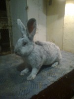 /album/kepgaleria/fenykep1192-jpg/