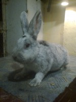 /album/kepgaleria/fenykep1189-jpg/