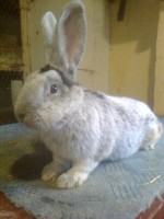 /album/kepgaleria/fenykep1215-jpg/