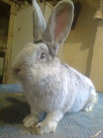 /album/kepgaleria/fenykep1216-jpg/