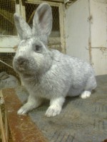 /album/kepgaleria/fenykep1398-jpg/