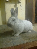 /album/kepgaleria/fenykep1512-jpg/