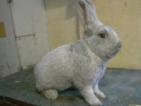 /album/kepgaleria/a201506151152-jpg/