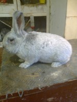 /album/kepgaleria/fenykep1561-jpg/