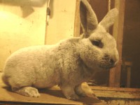 /album/kepgaleria/img-20160221-182014-jpg/