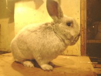 /album/kepgaleria/img-20160221-182248-jpg/