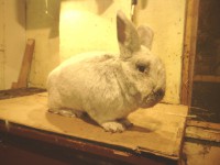 /album/kepgaleria/img-20160221-182414-jpg/